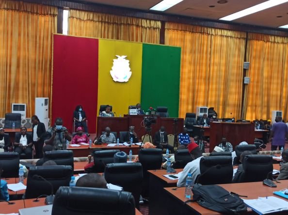Guinée : L’organe parlementaire de la transition ouvre sa première plénière